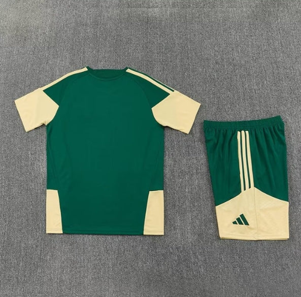 2026/2027 Real Madrid Green x Gold Set