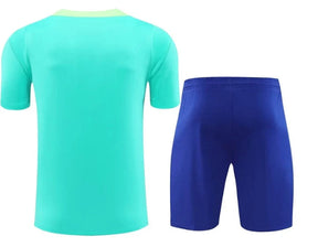 Brazil Training Set