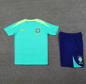 Brazil Training Set