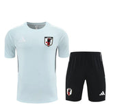 Japan Training Set