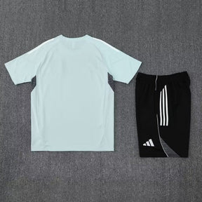 Japan Training Set
